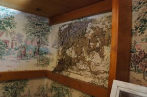 Termite shelter mud tubes