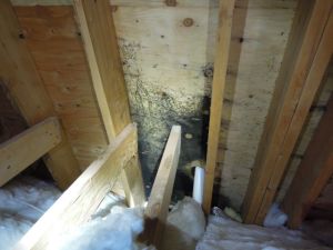 39) Mold-like stain at main bathroom exhaust vent duct