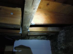Joist deflection at basement framing